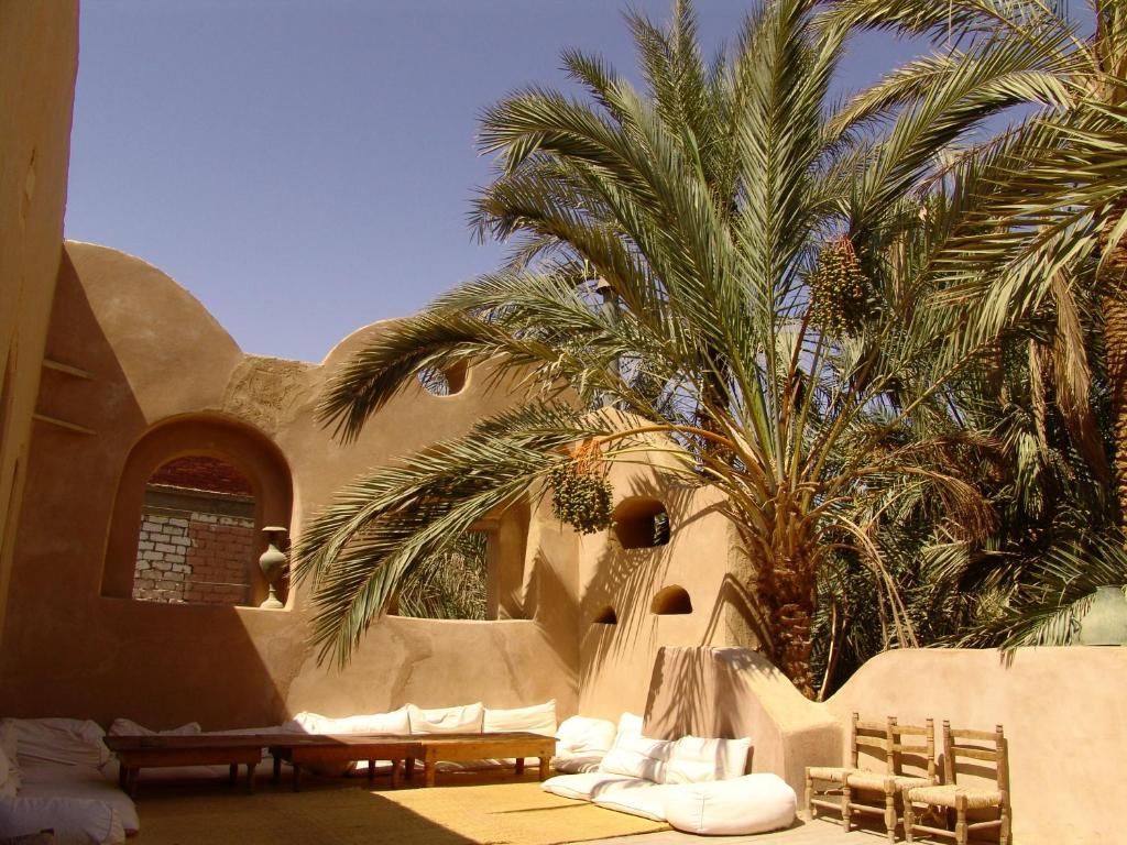 Shali Lodge Siwa Siwa Oasis Exterior photo