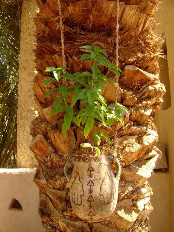 Shali Lodge Siwa Siwa Oasis Exterior photo