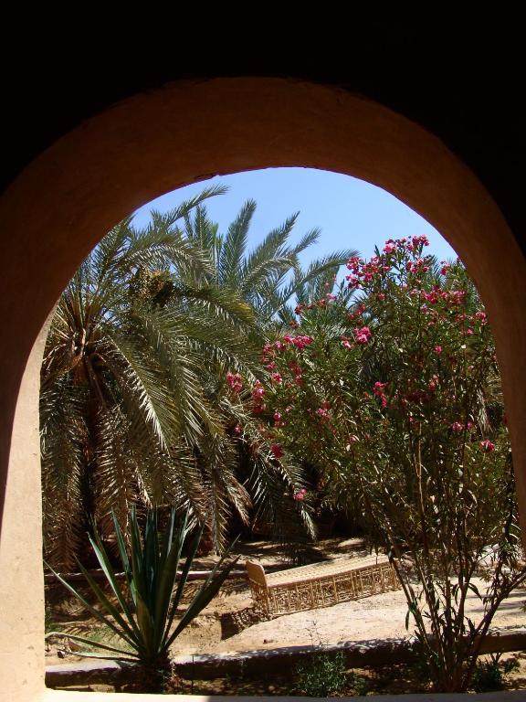 Shali Lodge Siwa Siwa Oasis Exterior photo